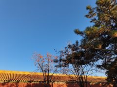 -故宫冰窖餐厅