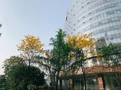-华西坝(地铁站)