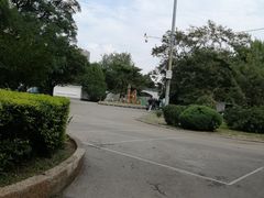 -劳动公园新疆人烤腰子