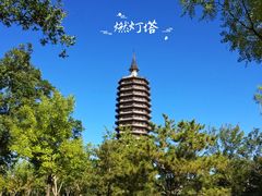 -西海子公园