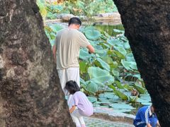 -四海公园(南山区)