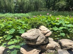 -回坊马二饺子馆