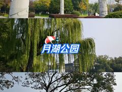 -月湖公园