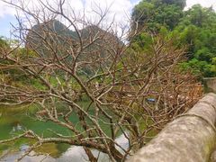 -靖西鹅泉风景区