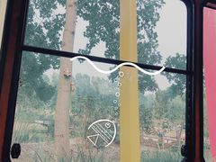 -合肥滨湖国家森林公园