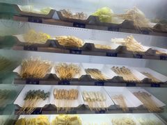 -马路边边串串香形象店(磐石路店)