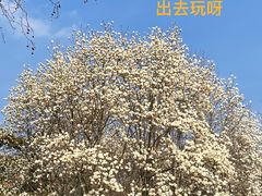 -睦南公园