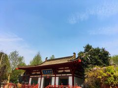 门面-西安牡丹苑