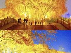 -李公堤