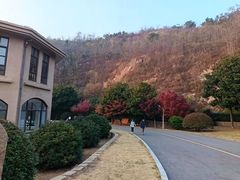 -太和山风景区