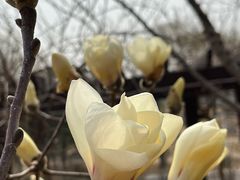 -济南国际园博园