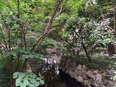 -复旦大学附属华山医院(总院)