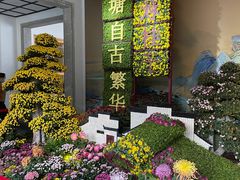 -杭州植物园