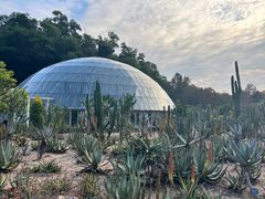 -深圳仙湖植物园