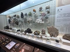 -浙江自然博物院(杭州馆)