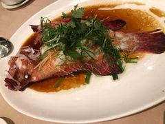 -陶陶居海鲜酒家(新马路店)