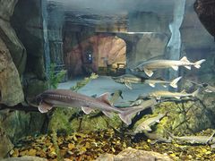 -波塞冬旅游度假区