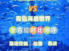 -海合安青岛极地海洋公园