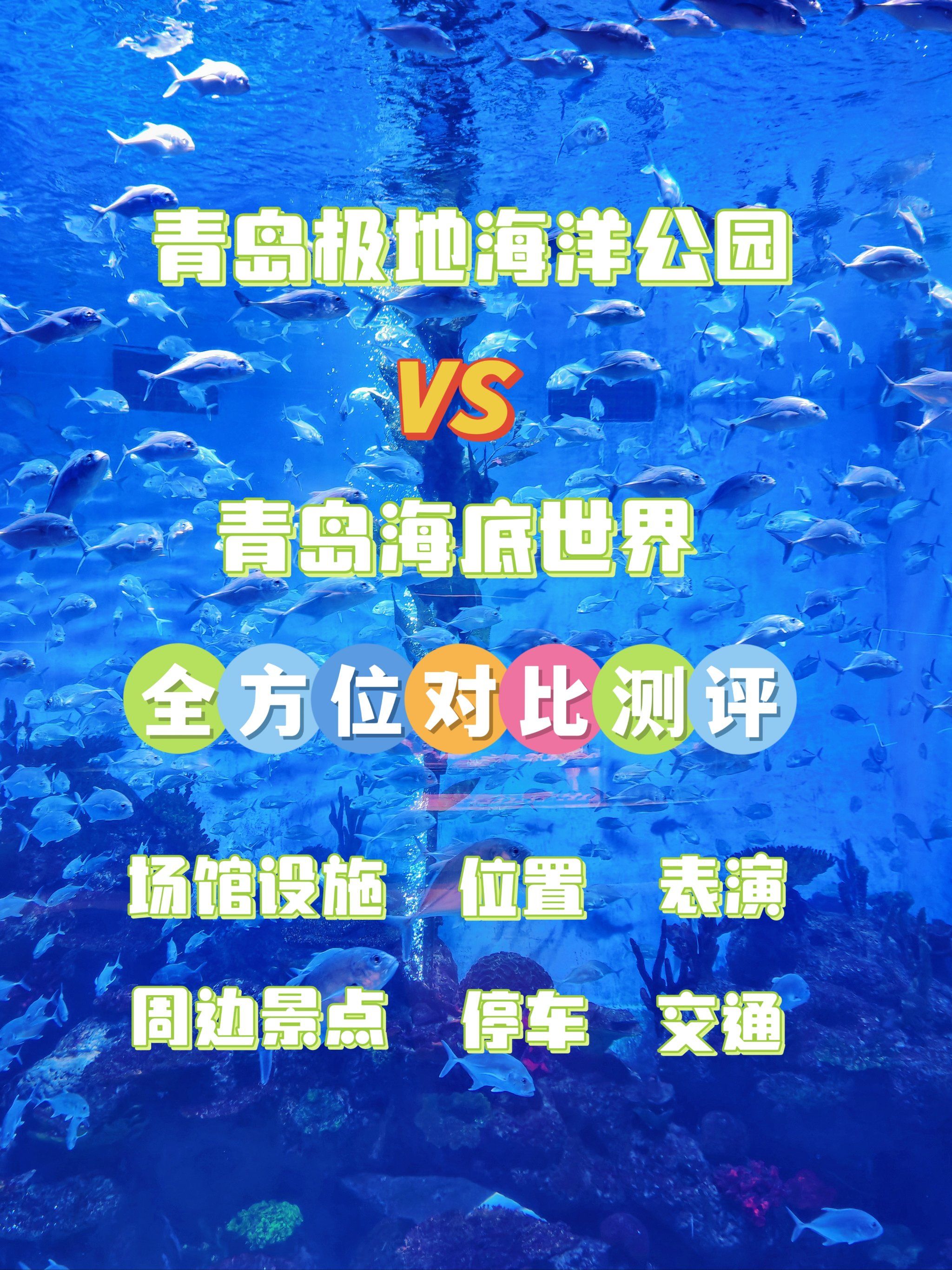 青岛极地海洋公园vs海底世界哪个更好玩?