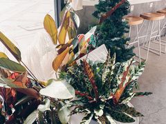 -隹木咖啡馆(宝龙广场店)