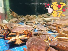 加拿大珍宝蟹-隆聚·时令海鲜(洪兴店)