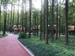 -黄海国家森林公园