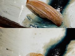 -银座岩