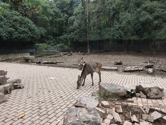 -无锡动物园·太湖欢乐园