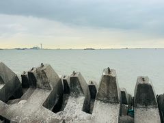 -上海滨江森林公园