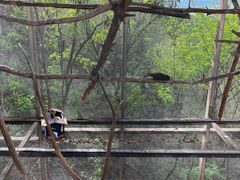 -欢乐松鼠谷