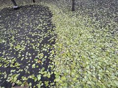 -森林公园(尖草坪区)