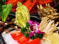 -蜀大侠火锅(总府路店)