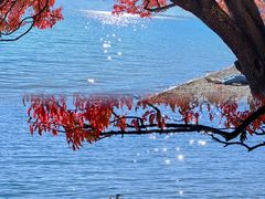 -丽江泸沽湖景区