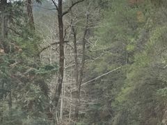 -闪电修企业手机电脑回收(西湖风景名胜区店)