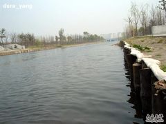 -新江湾城公园