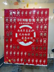 -DEM缔怡美科技美容