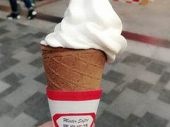 -富豪雪糕车流动点(尖沙咀店)