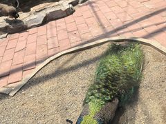 -北宫国家森林公园