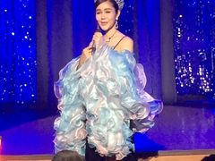 -金东尼人妖秀
