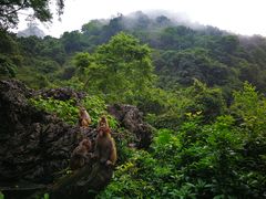 -广西龙虎山风景区