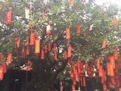 -三水森林公园