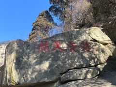 -泰山风景名胜区