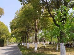 -白塘生态植物园