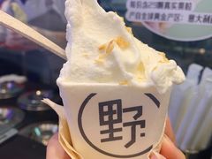 -野人先生现做冰淇淋(北京环宇荟店)