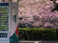 -浙江大学(紫金港校区)