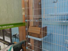 -瑞鹏宠物医院·内科·中兽医·骨科(苗圃店)