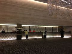 -新加坡乌节希尔顿酒店 (SG Clean)