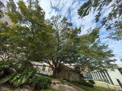 -厦门国家会计学院