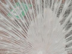 -昆明动物园