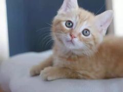 -星巴克臻选(成都宽窄巷子店)